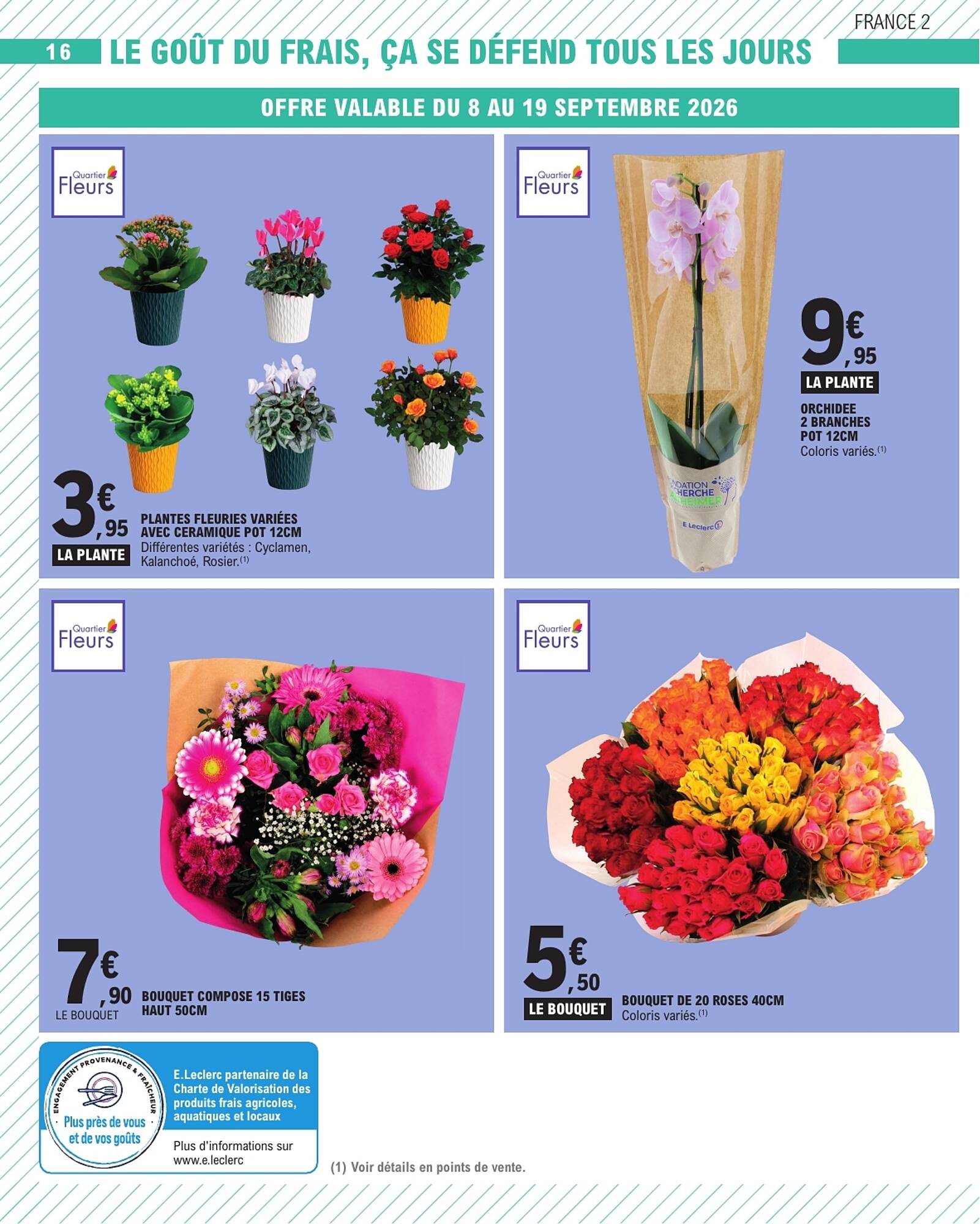 E.Leclerc Catalogue - Pagina 16