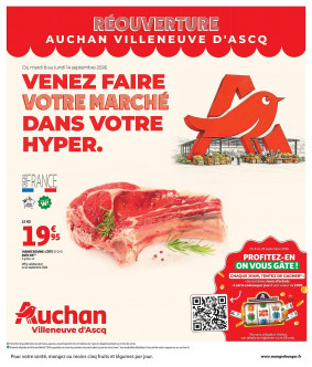 Auchan catalogue