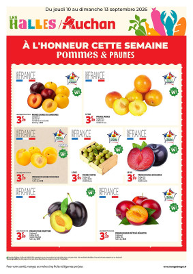 Auchan catalogue