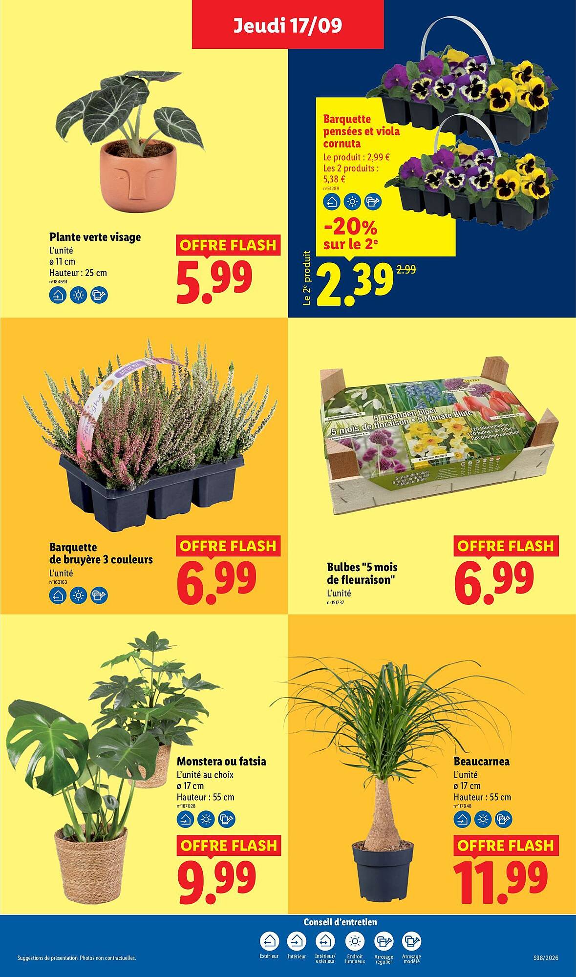 Lidl Catalogue - Pagina 29