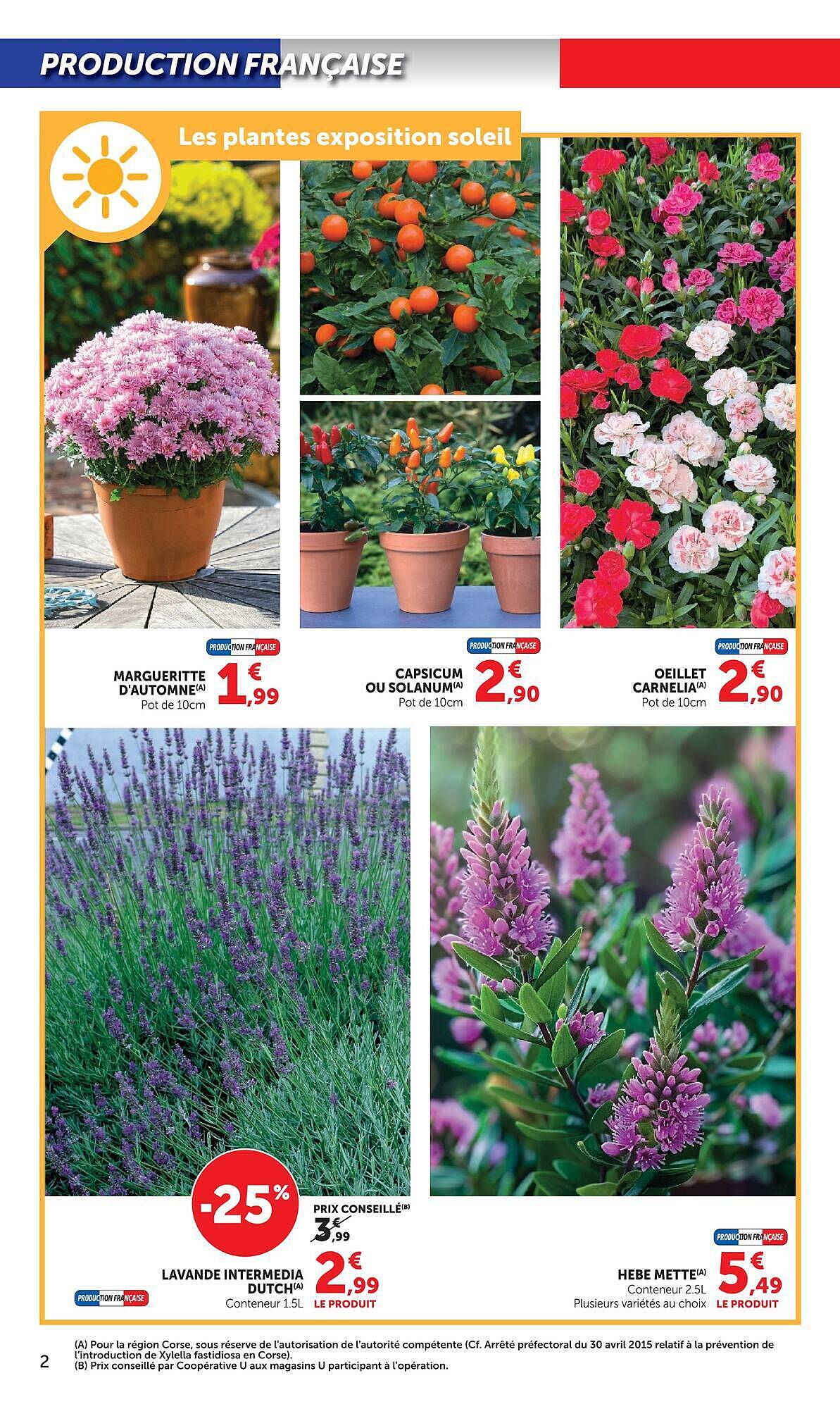 Super U Catalogue - Pagina 2