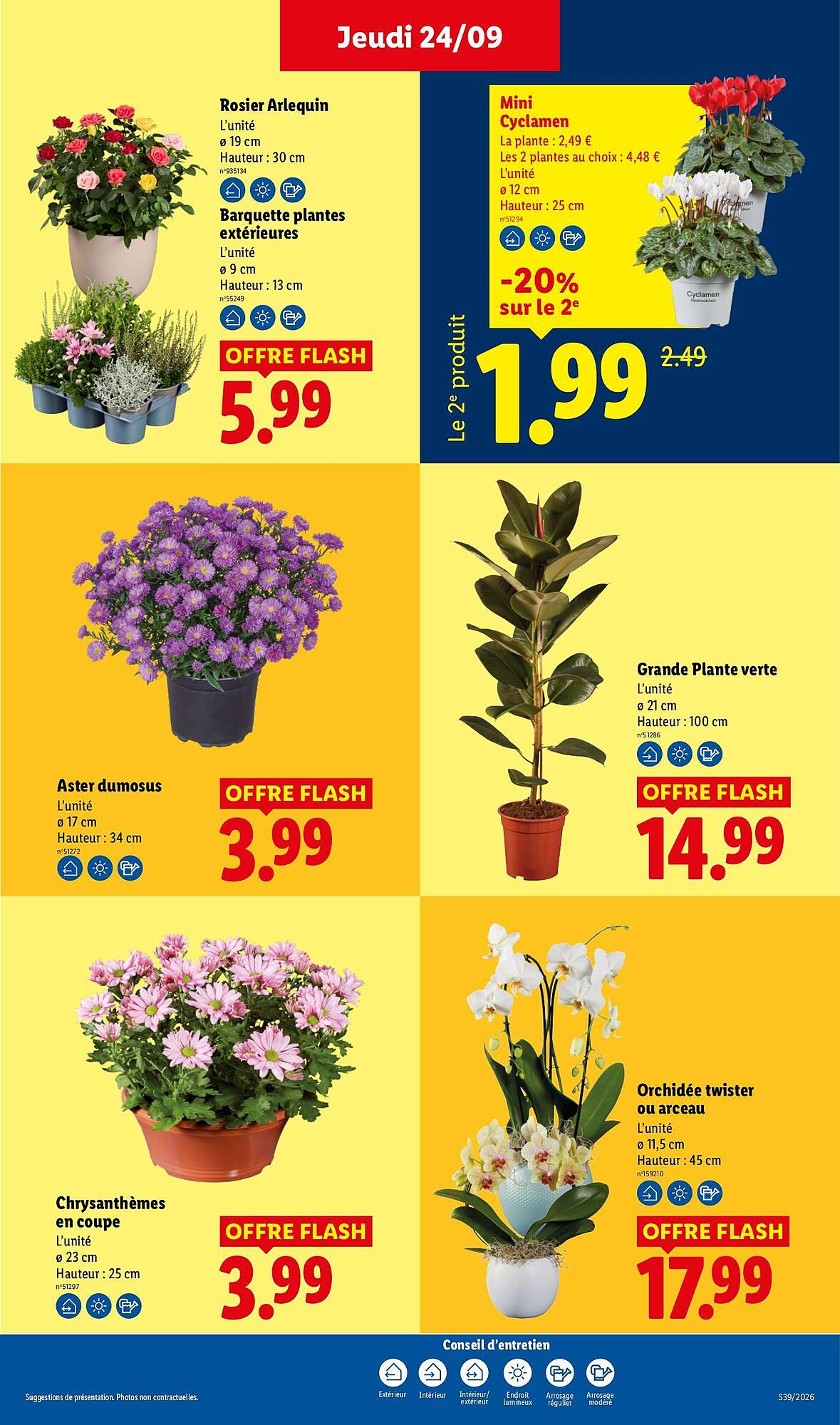 Lidl Catalogue - Pagina 29