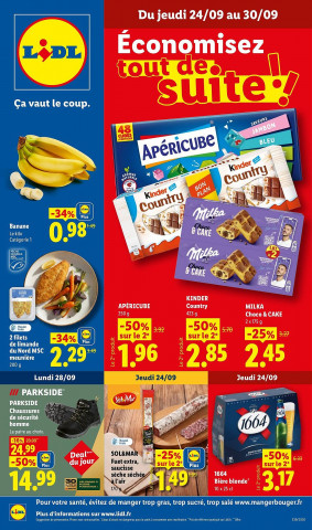 Lidl Catalogue