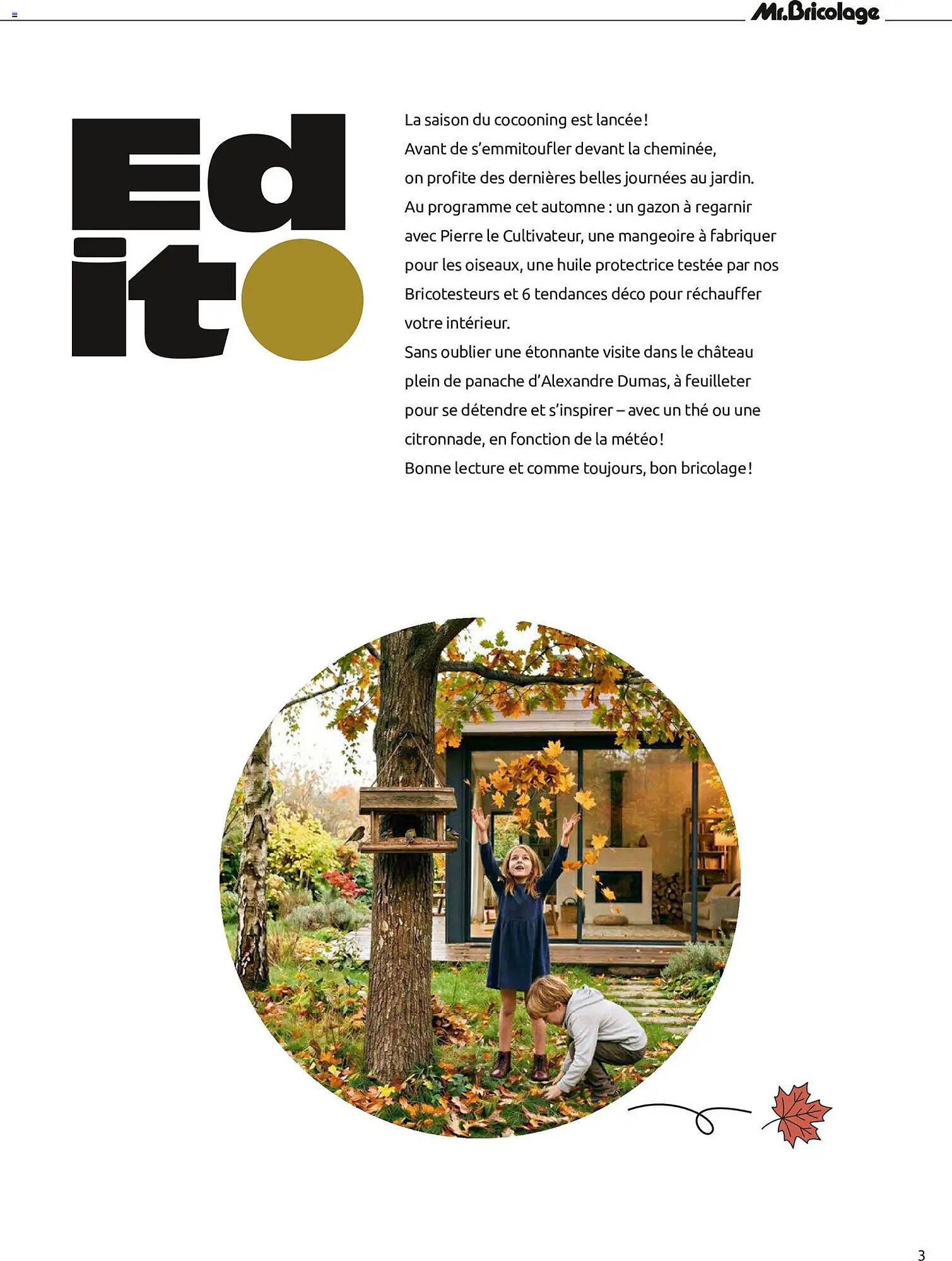 Mr Bricolage Catalogue - Pagina 3