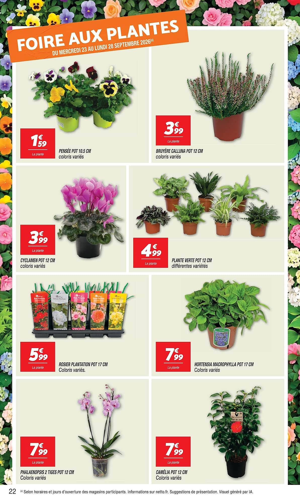 Netto Catalogue - Pagina 22
