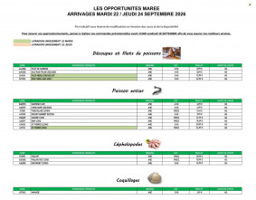 Promocash catalogue