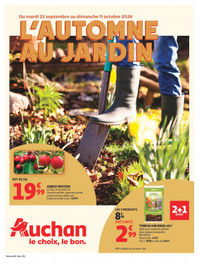 Auchan Catalogue