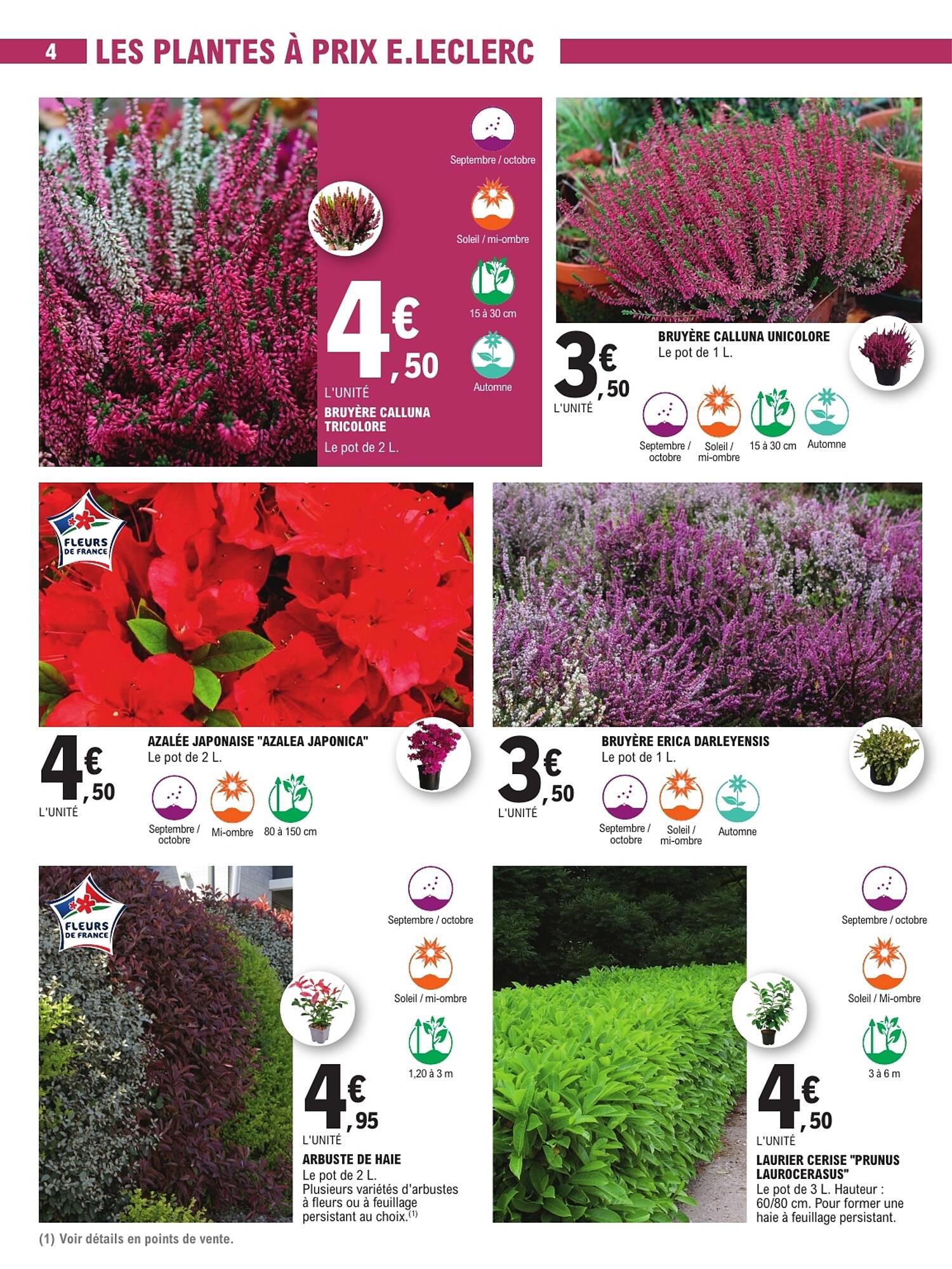 E.Leclerc Brico Catalogue - Pagina 4