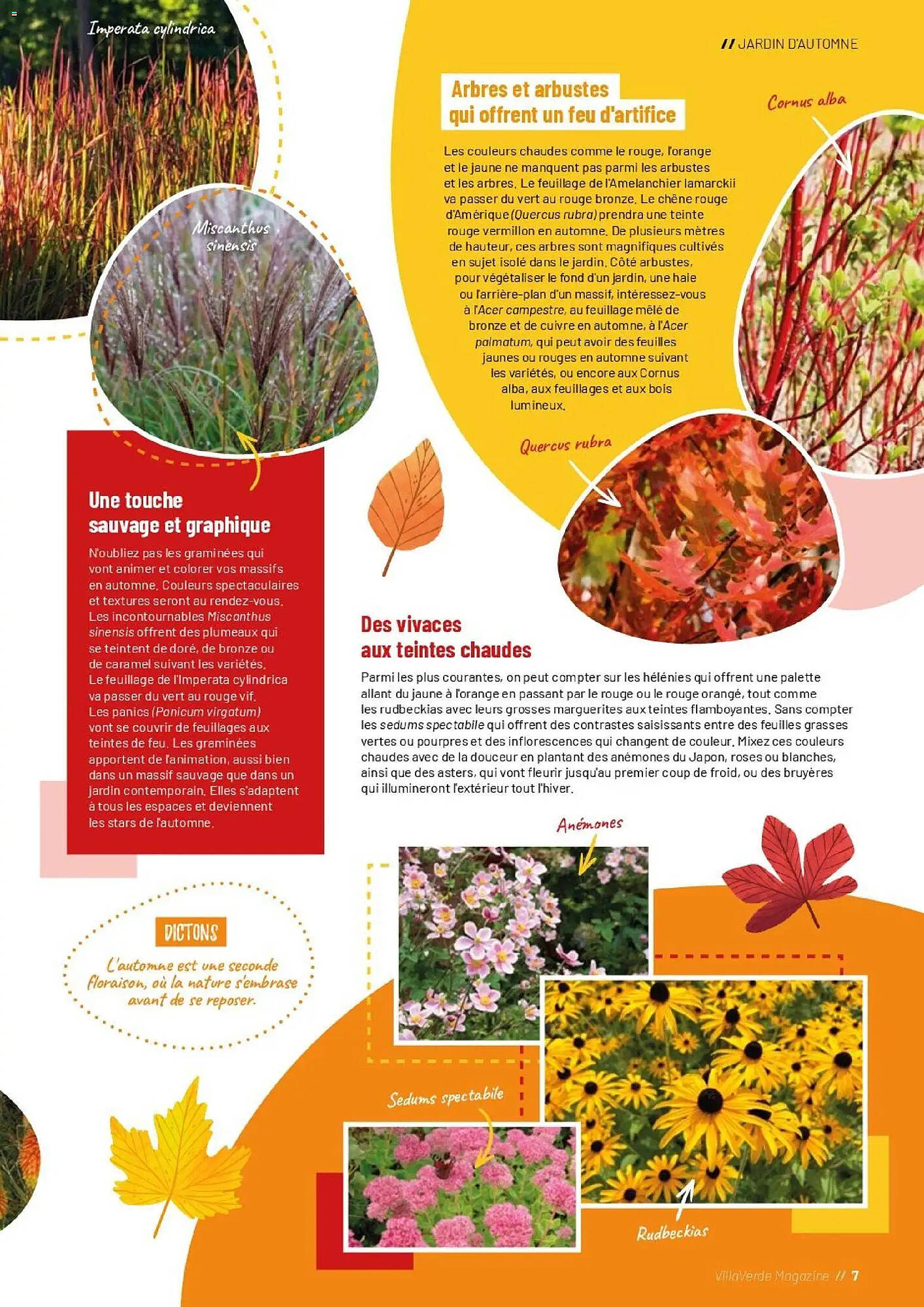 VillaVerde Catalogue - Pagina 7