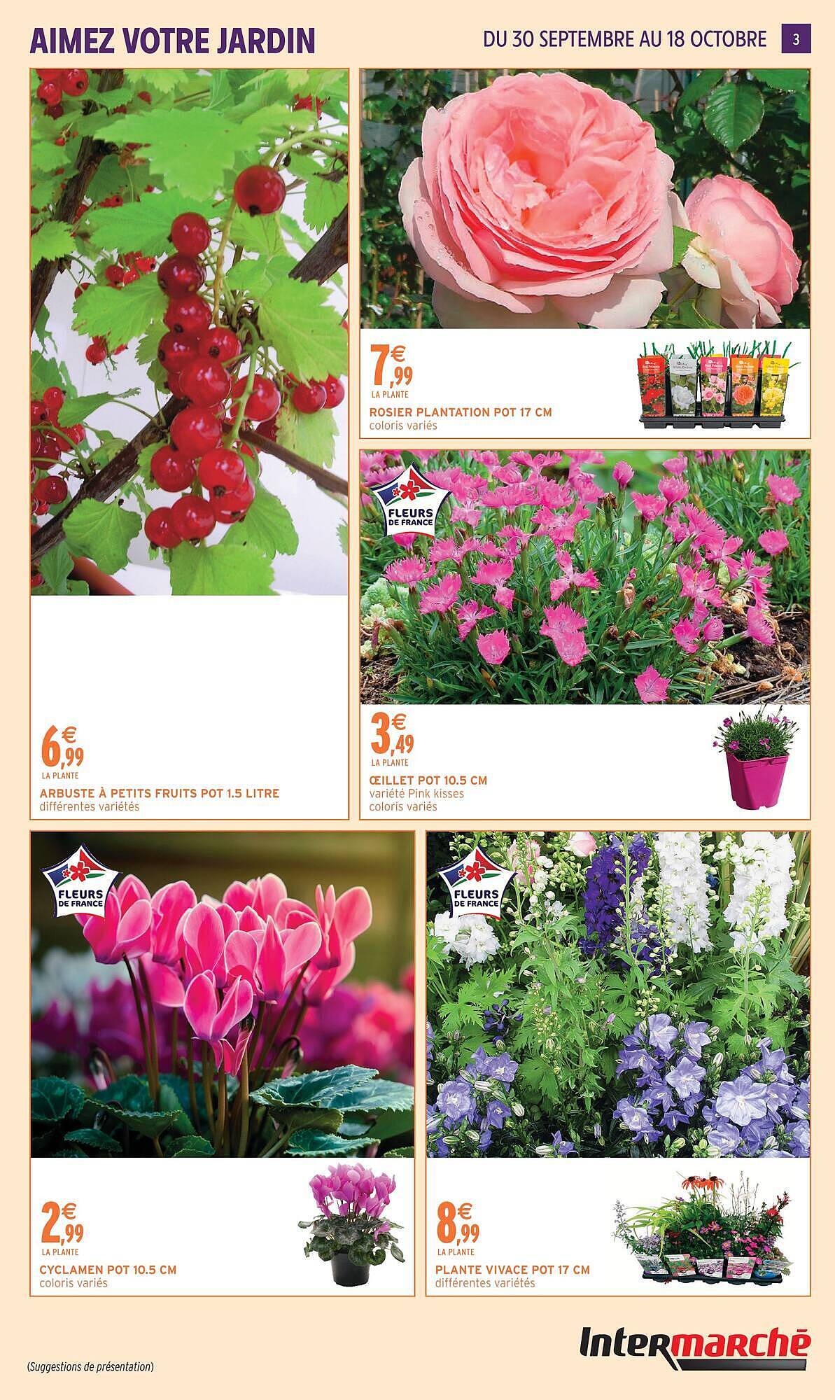 Intermarché Catalogue - Pagina 3