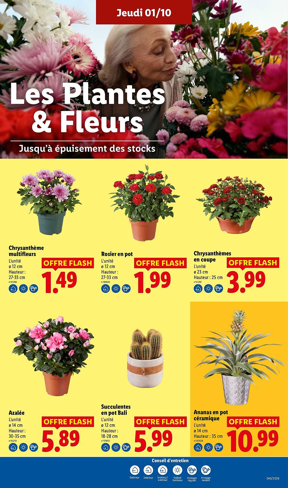 Lidl Catalogue - Pagina 29