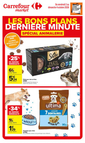 Carrefour Market Catalogue