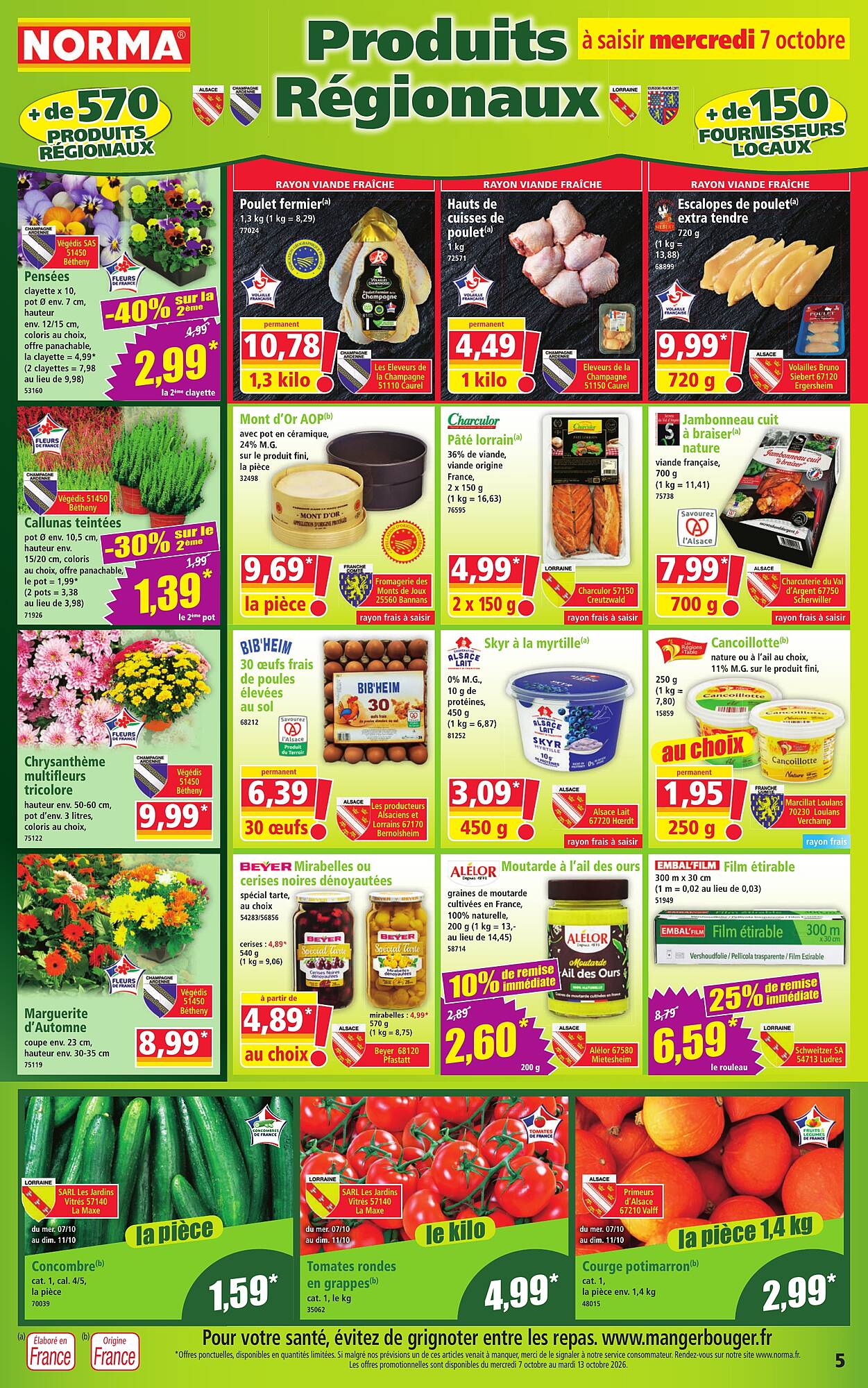 Norma Catalogue - Pagina 5