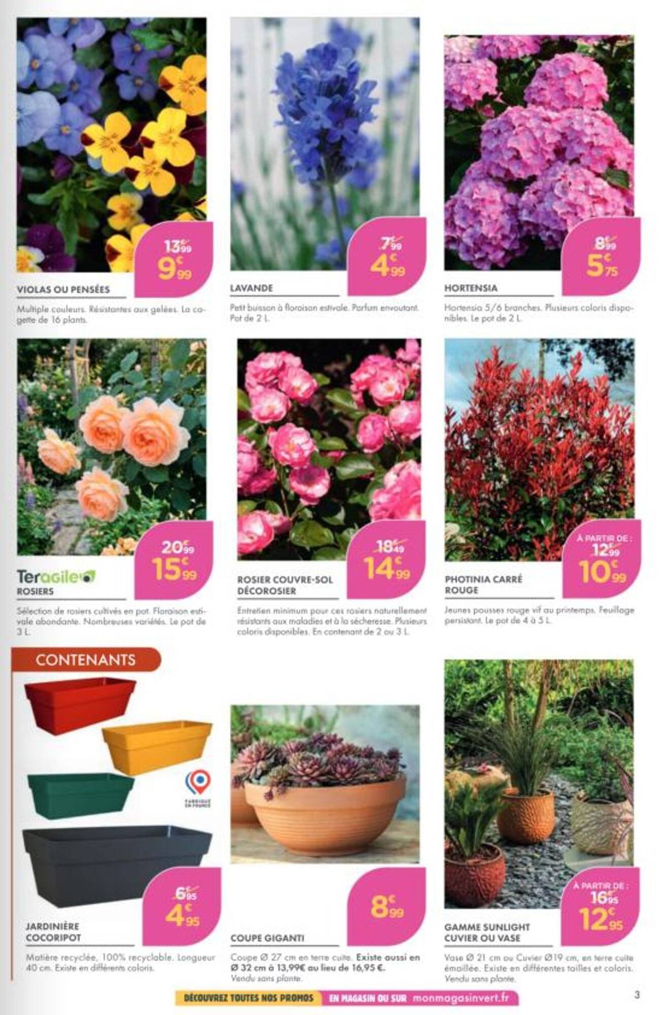 Point Vert Catalogue - Pagina 3