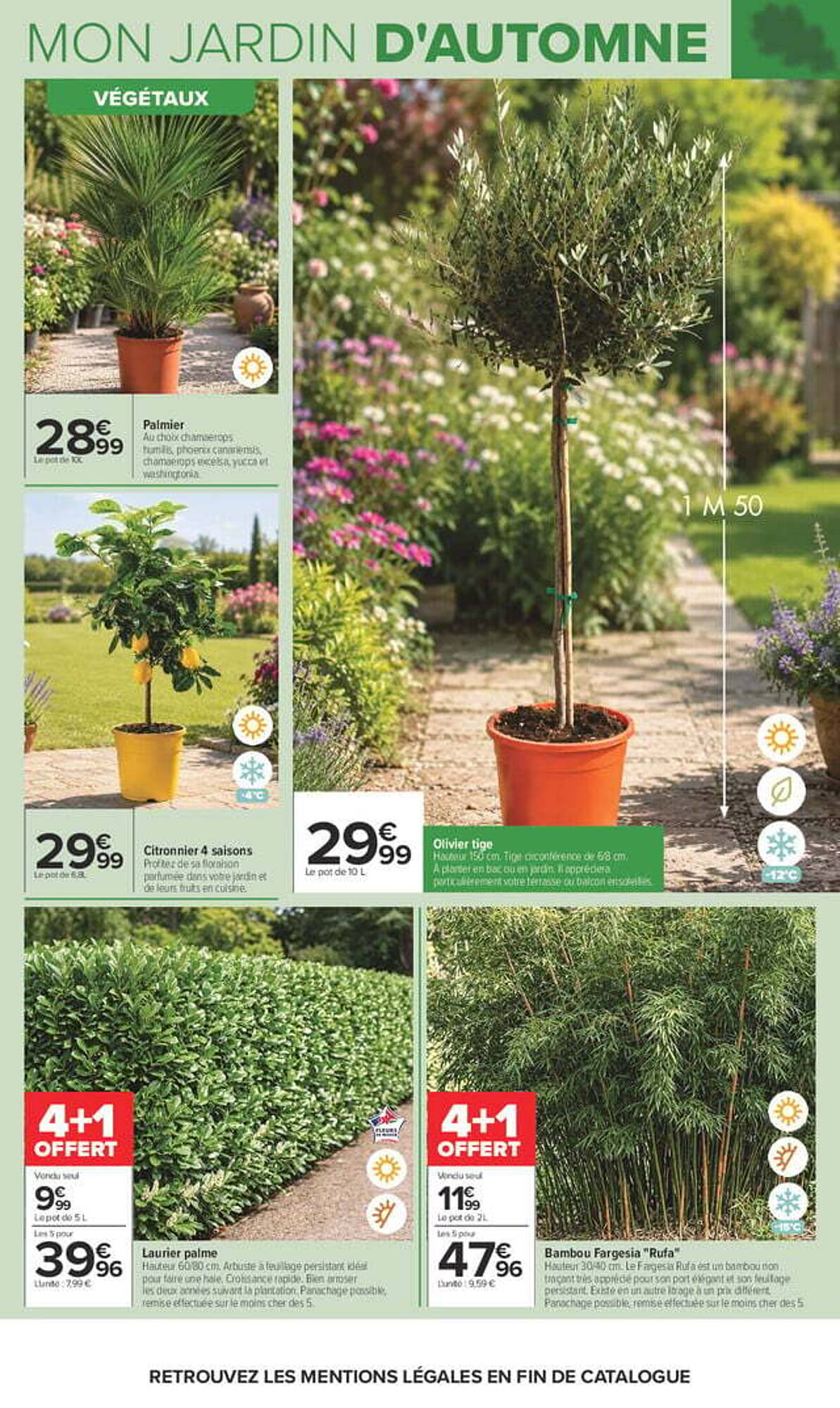 Carrefour Catalogue - Pagina 4