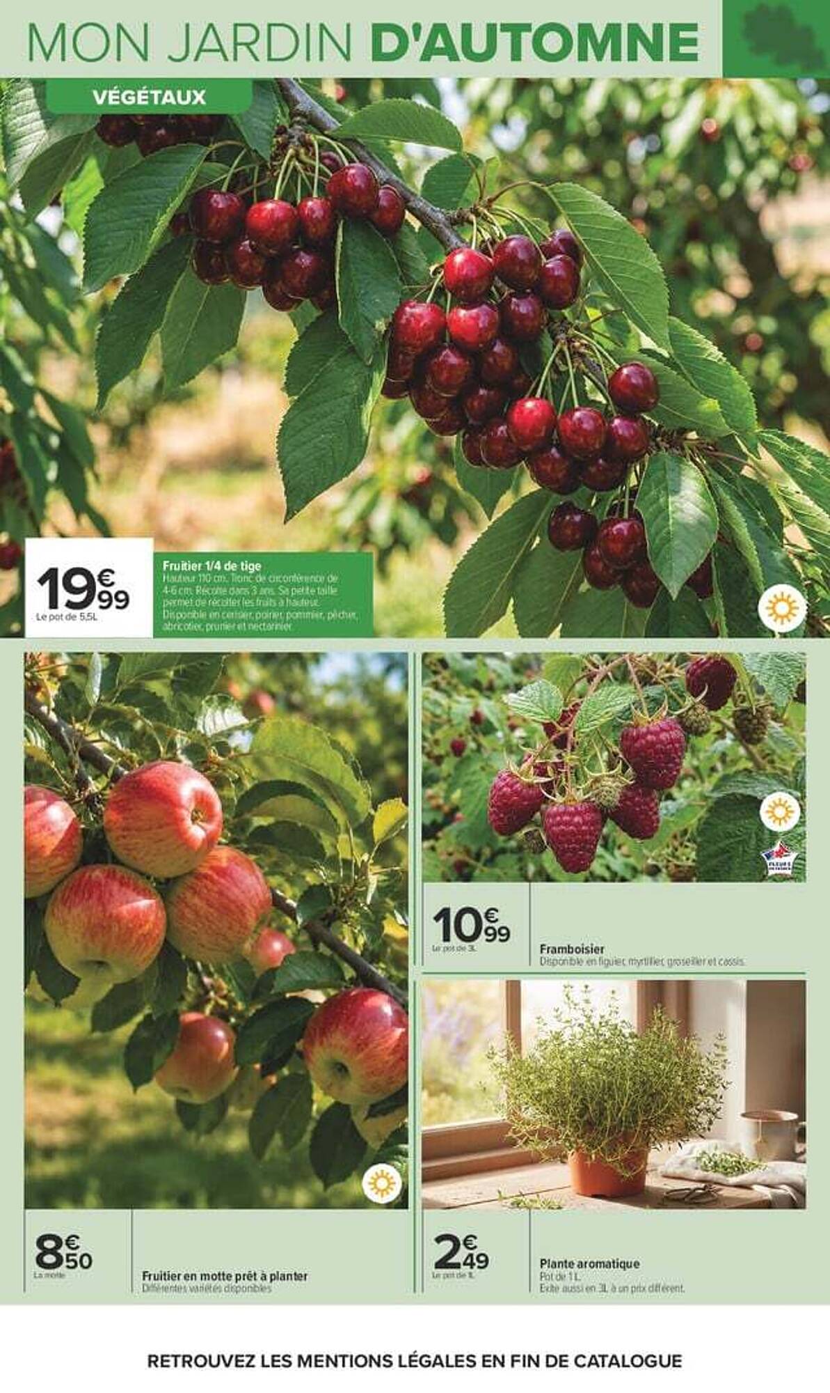 Carrefour Catalogue - Pagina 5