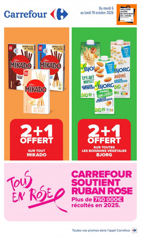Carrefour Catalogue