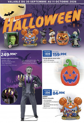 Costco Catalogue
