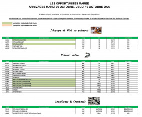 Promocash catalogue