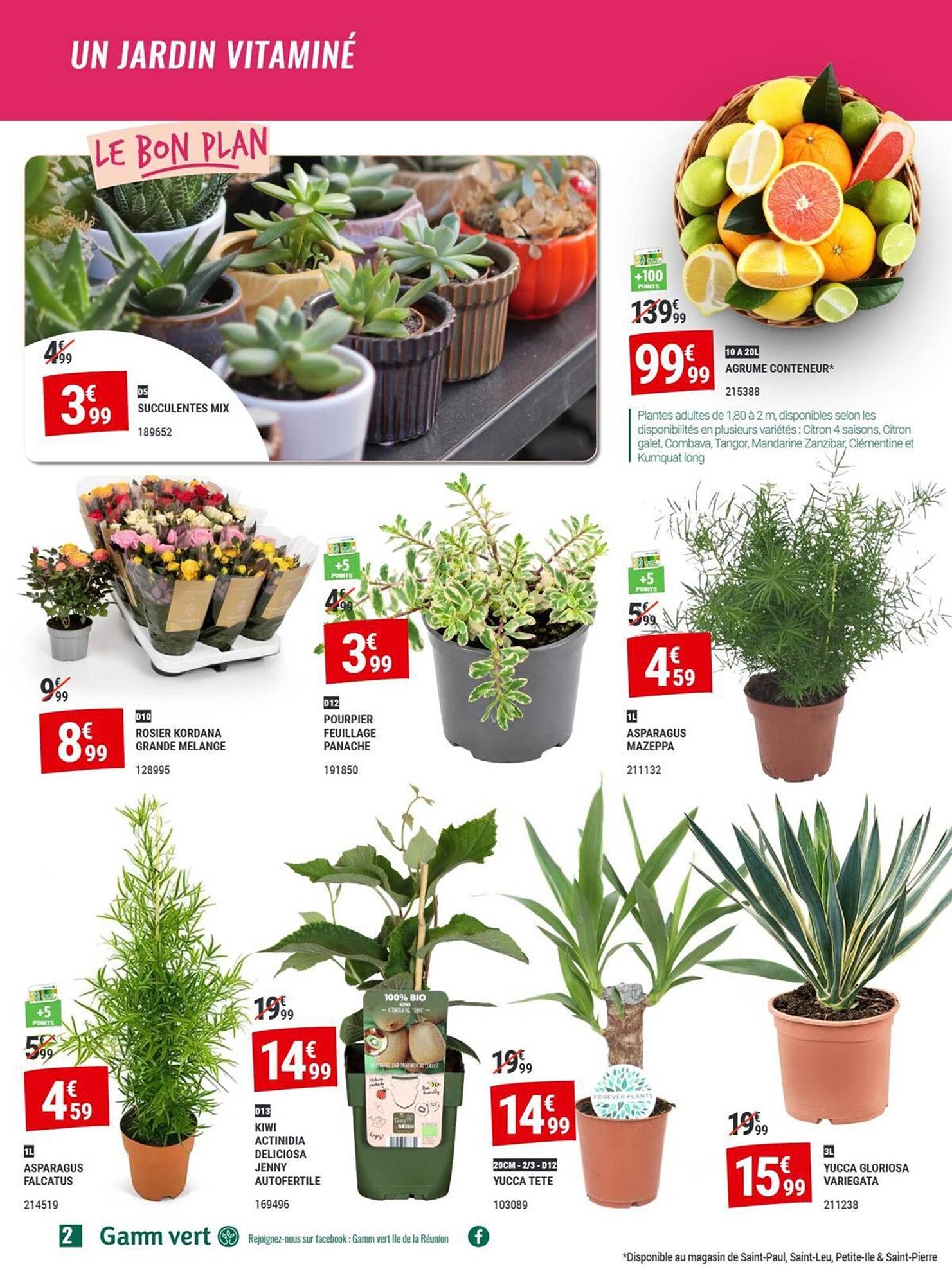 Gamm vert Catalogue - Pagina 2
