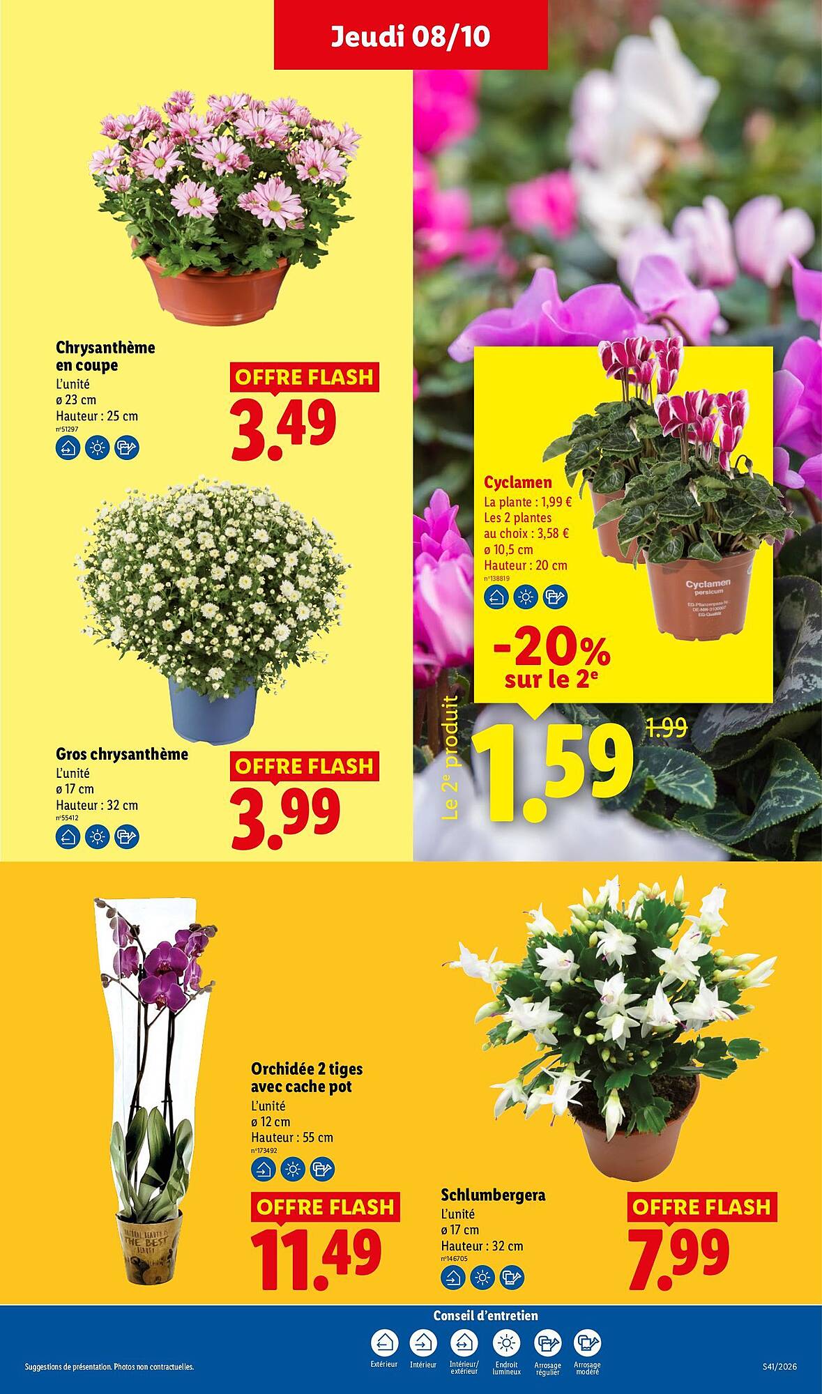 Lidl Catalogue - Pagina 29