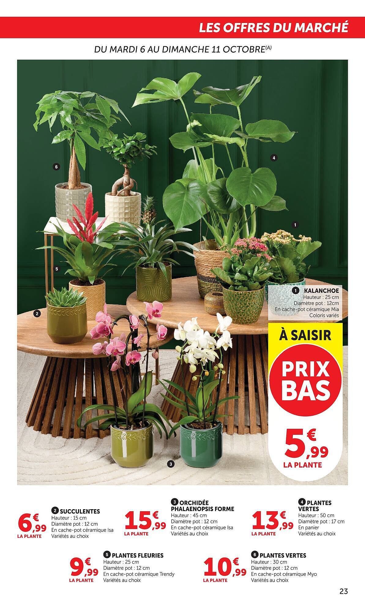 Super U Catalogue - Pagina 23