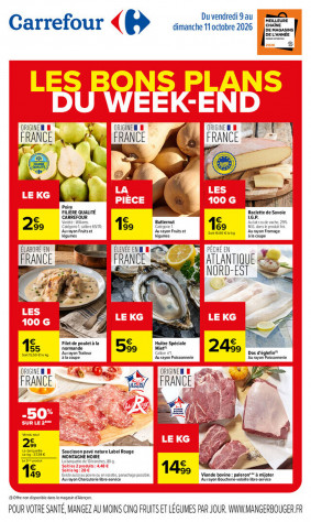 Carrefour catalogue