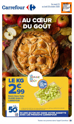 Carrefour Catalogue