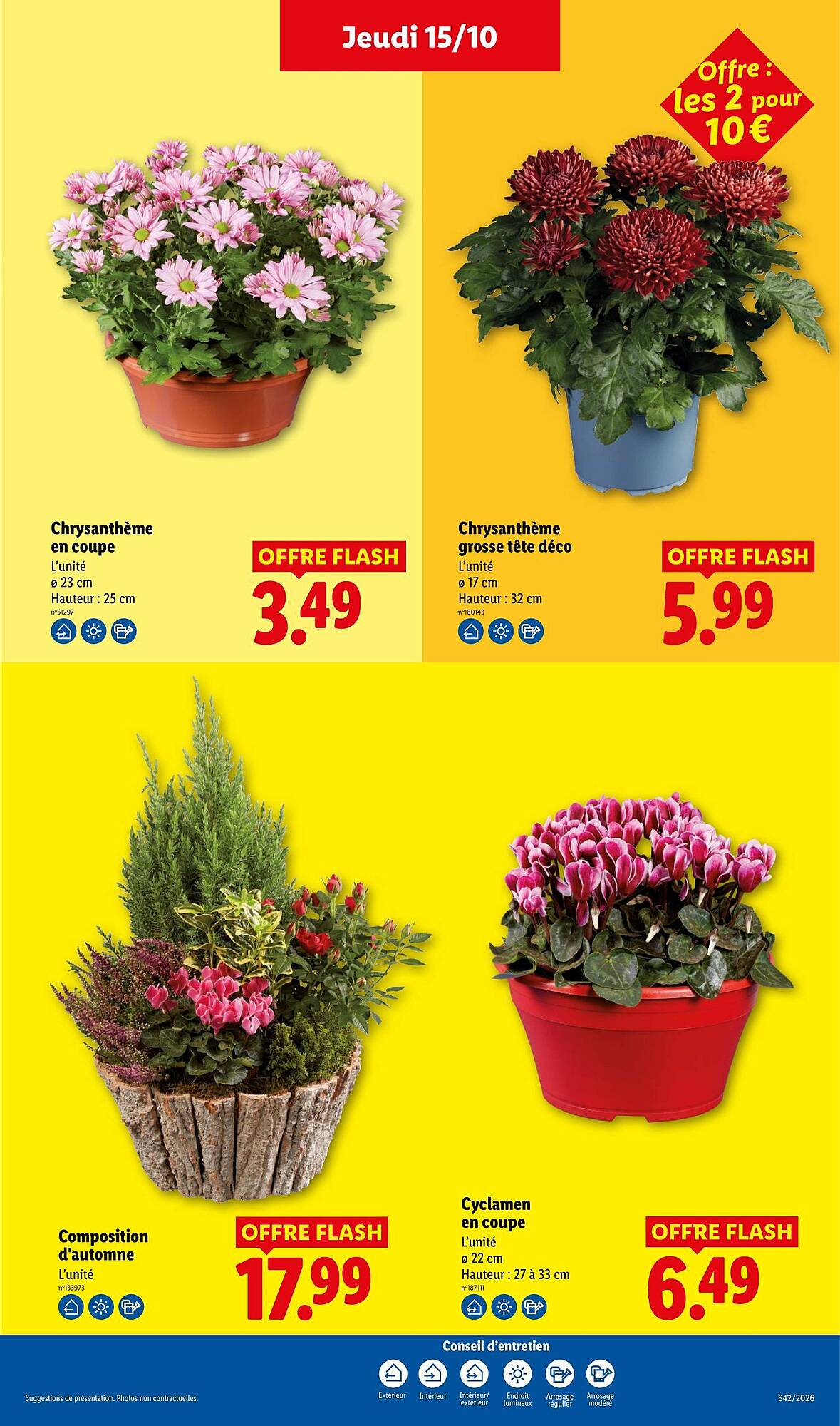 Lidl Catalogue - Pagina 41