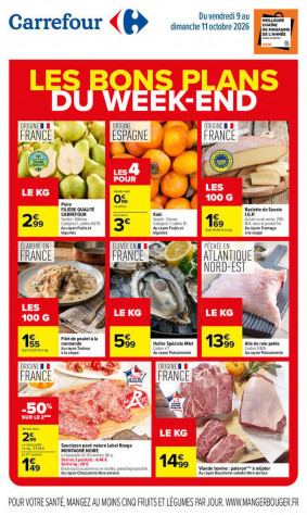 Carrefour Catalogue