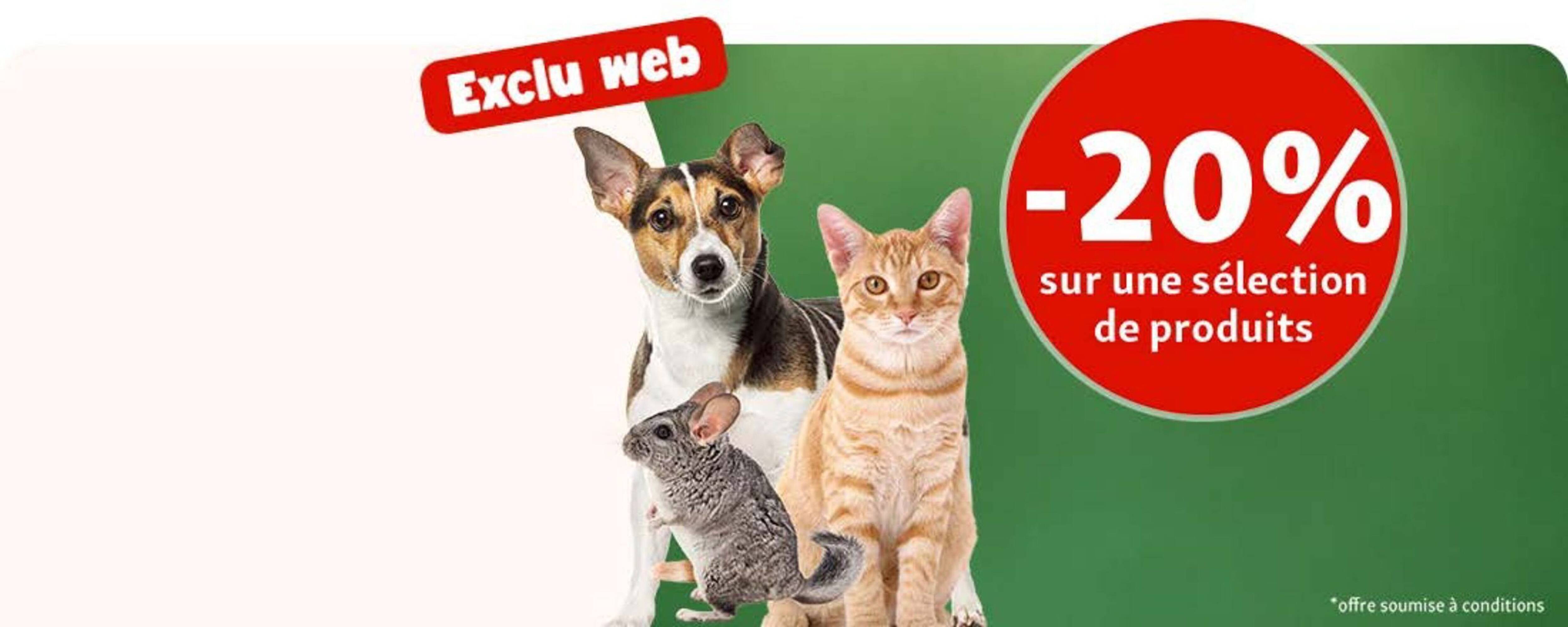 Maxi Zoo Catalogue - Pagina 1