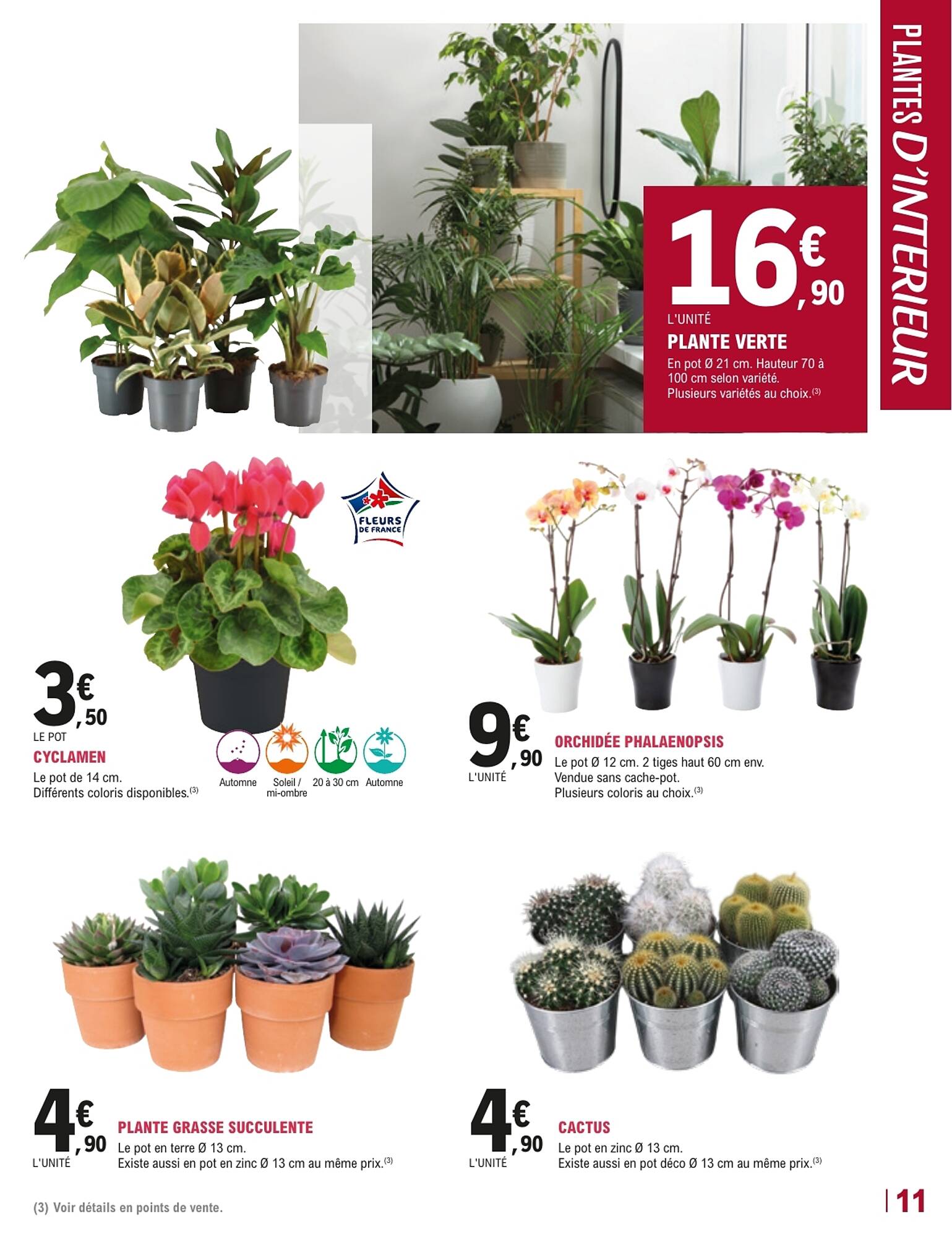 E.Leclerc Jardi Catalogue - Pagina 11