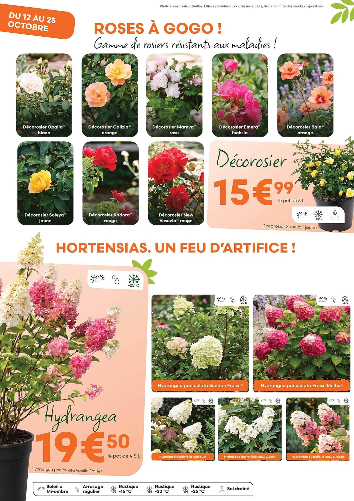 Ma Jardinerie Catalogue - Pagina 2