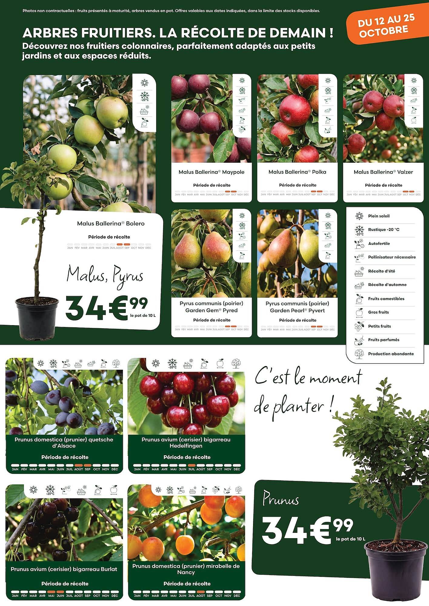Ma Jardinerie Catalogue - Pagina 5