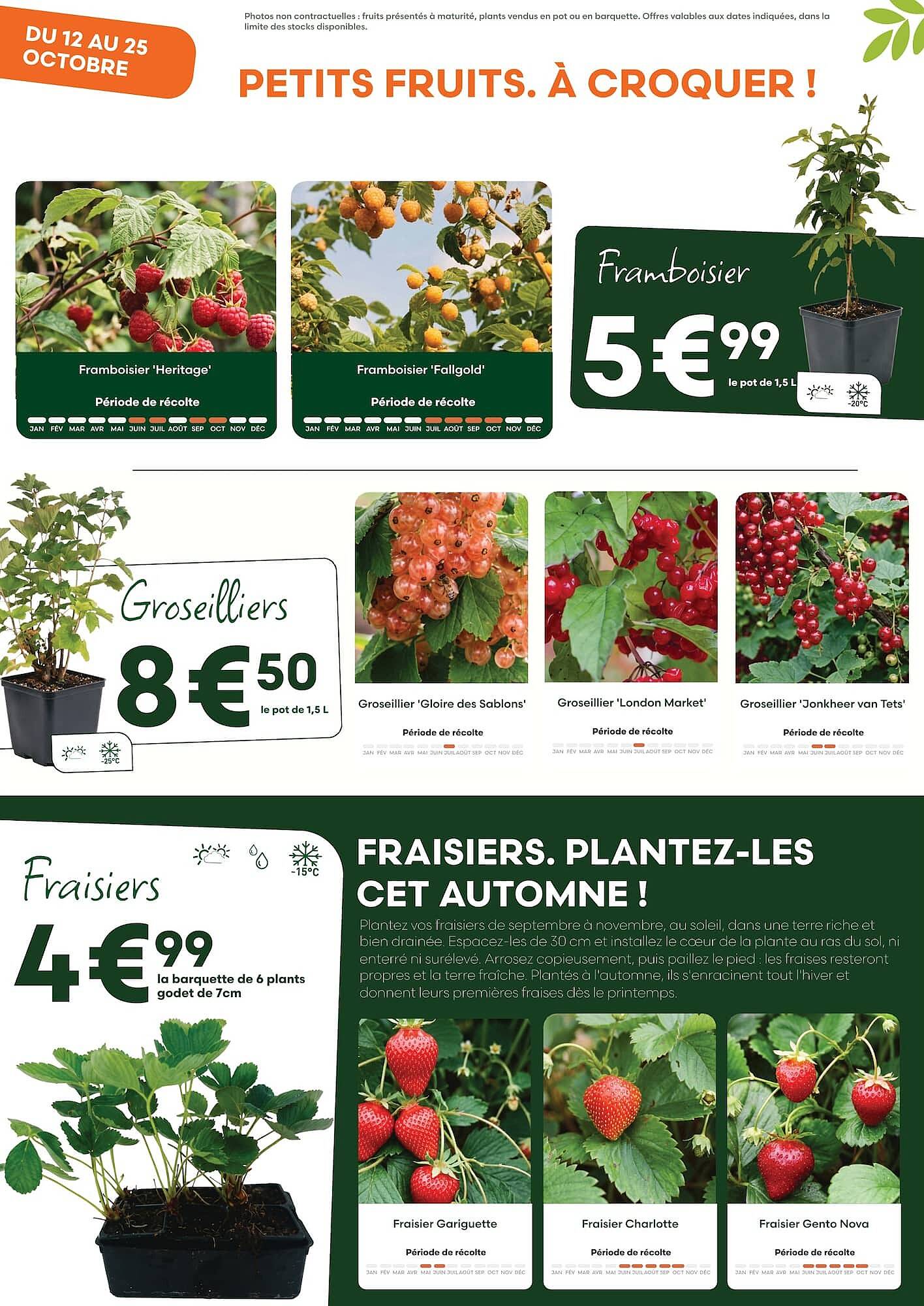 Ma Jardinerie Catalogue - Pagina 6