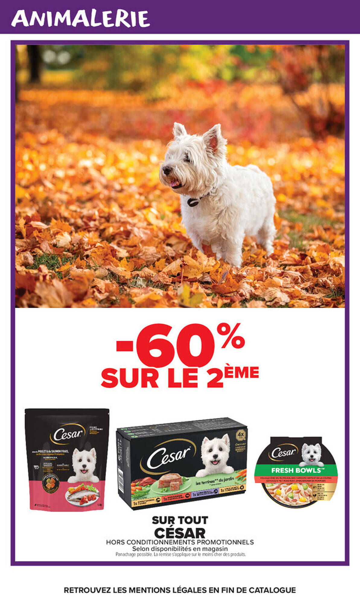 Carrefour Market Catalogue - Pagina 15