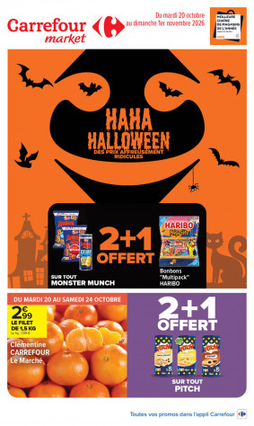 Carrefour Market Catalogue