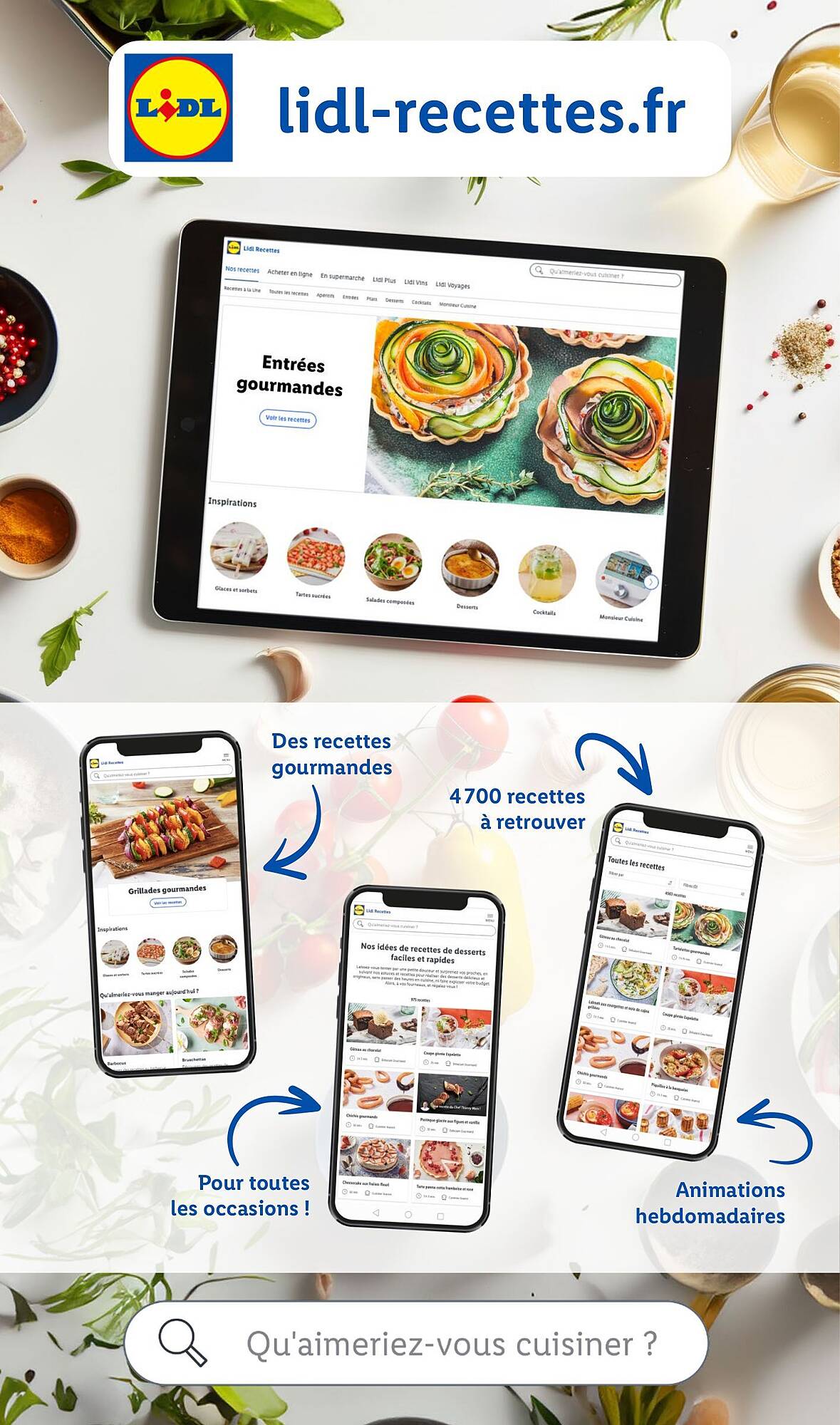 Lidl Catalogue - Pagina 13