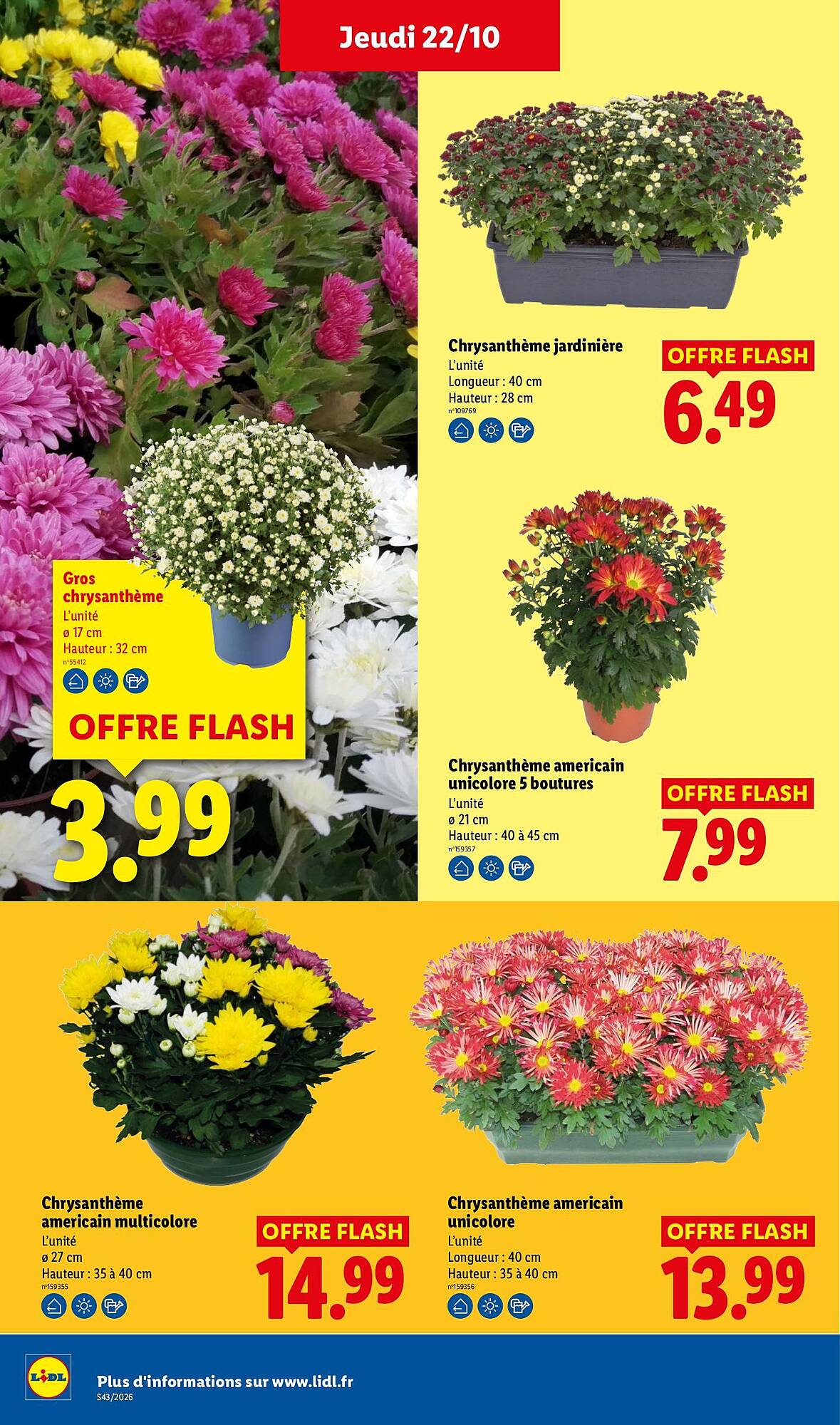 Lidl Catalogue - Pagina 33