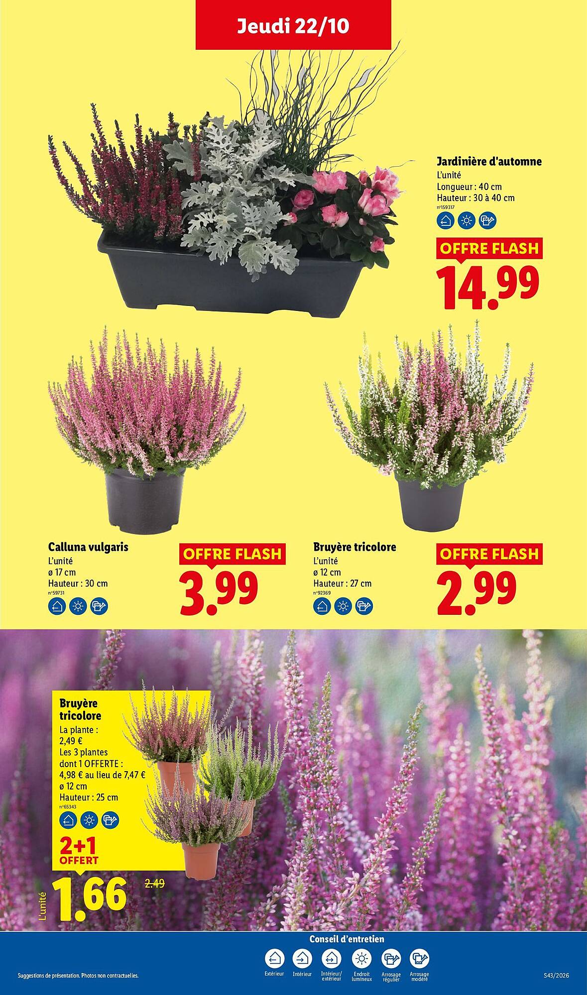 Lidl Catalogue - Pagina 34