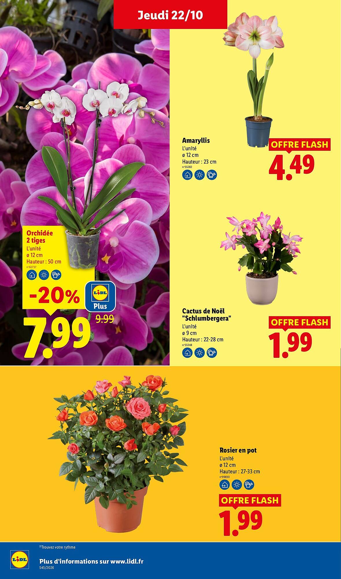 Lidl Catalogue - Pagina 35