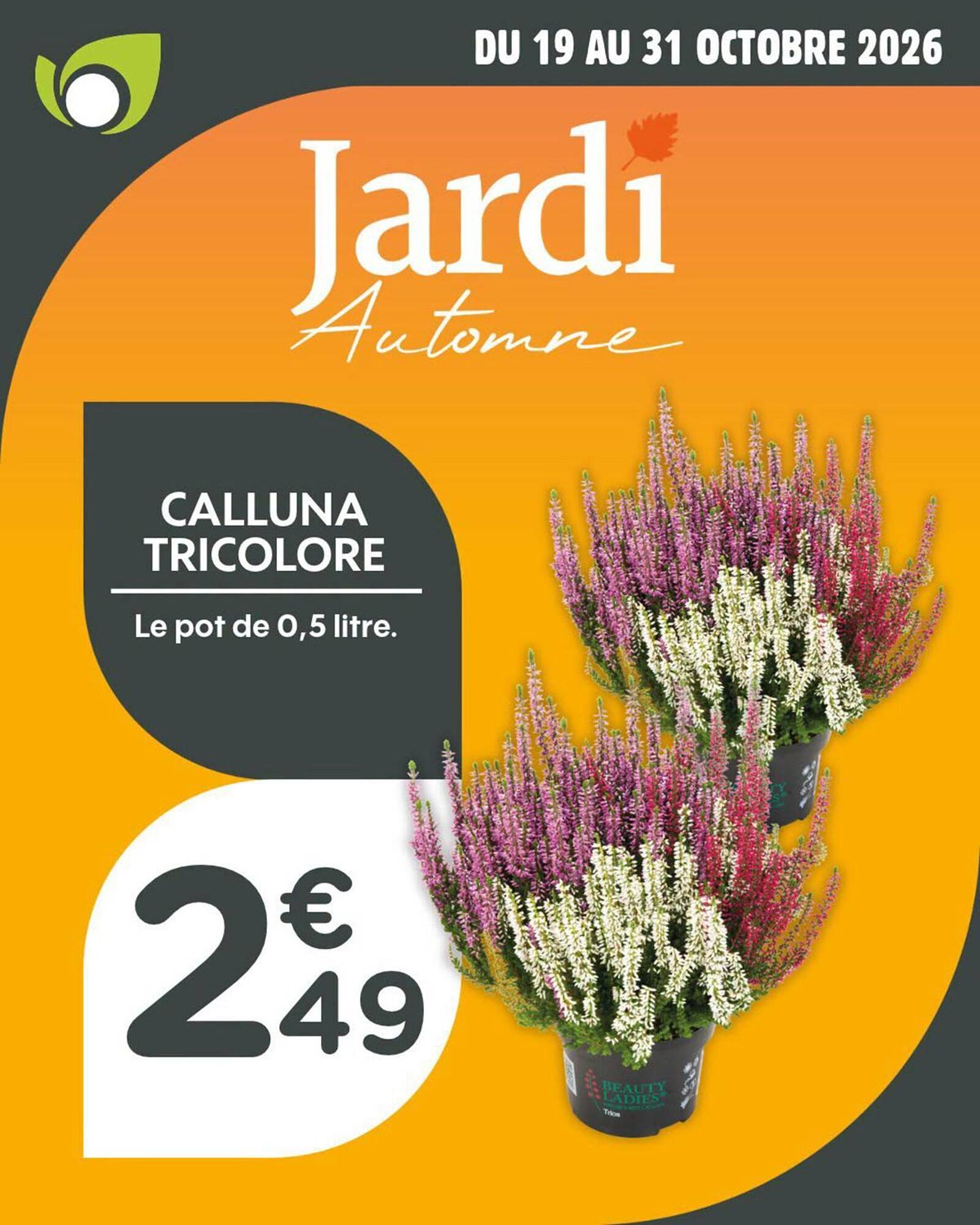 Point Vert Catalogue - Pagina 4