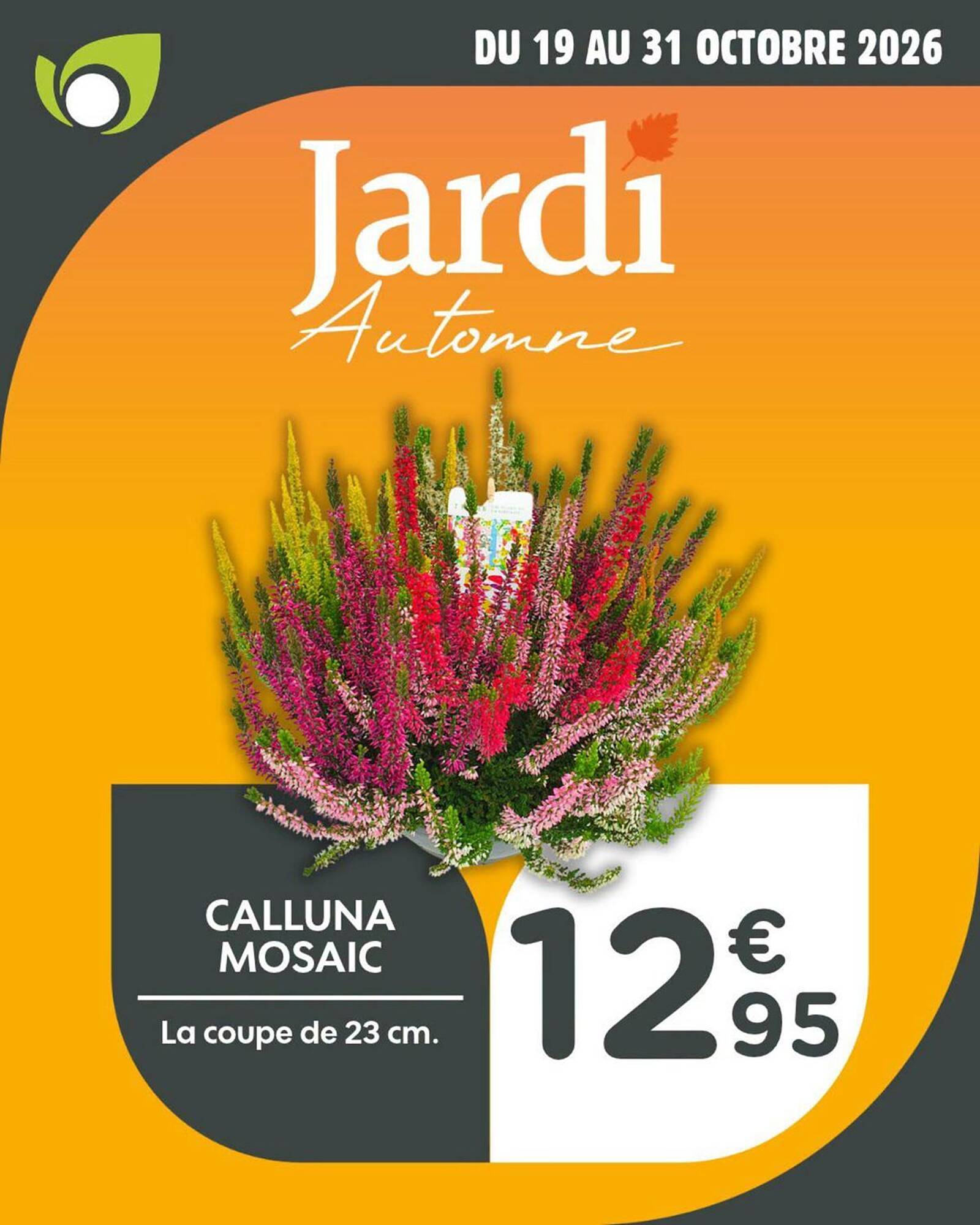 Point Vert Catalogue - Pagina 7