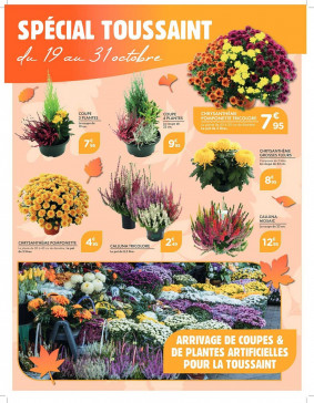 Point Vert Catalogue