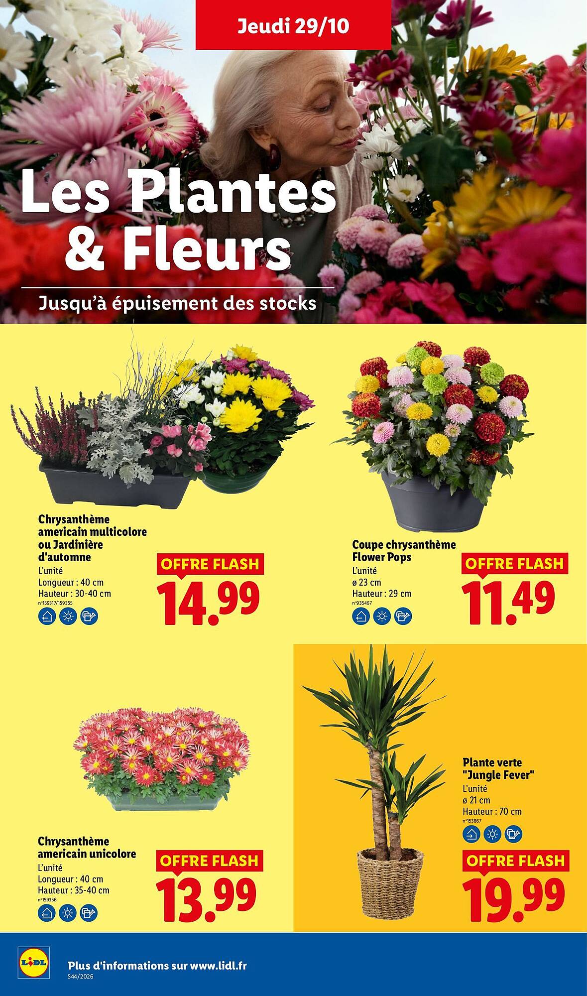 Lidl Catalogue - Pagina 33