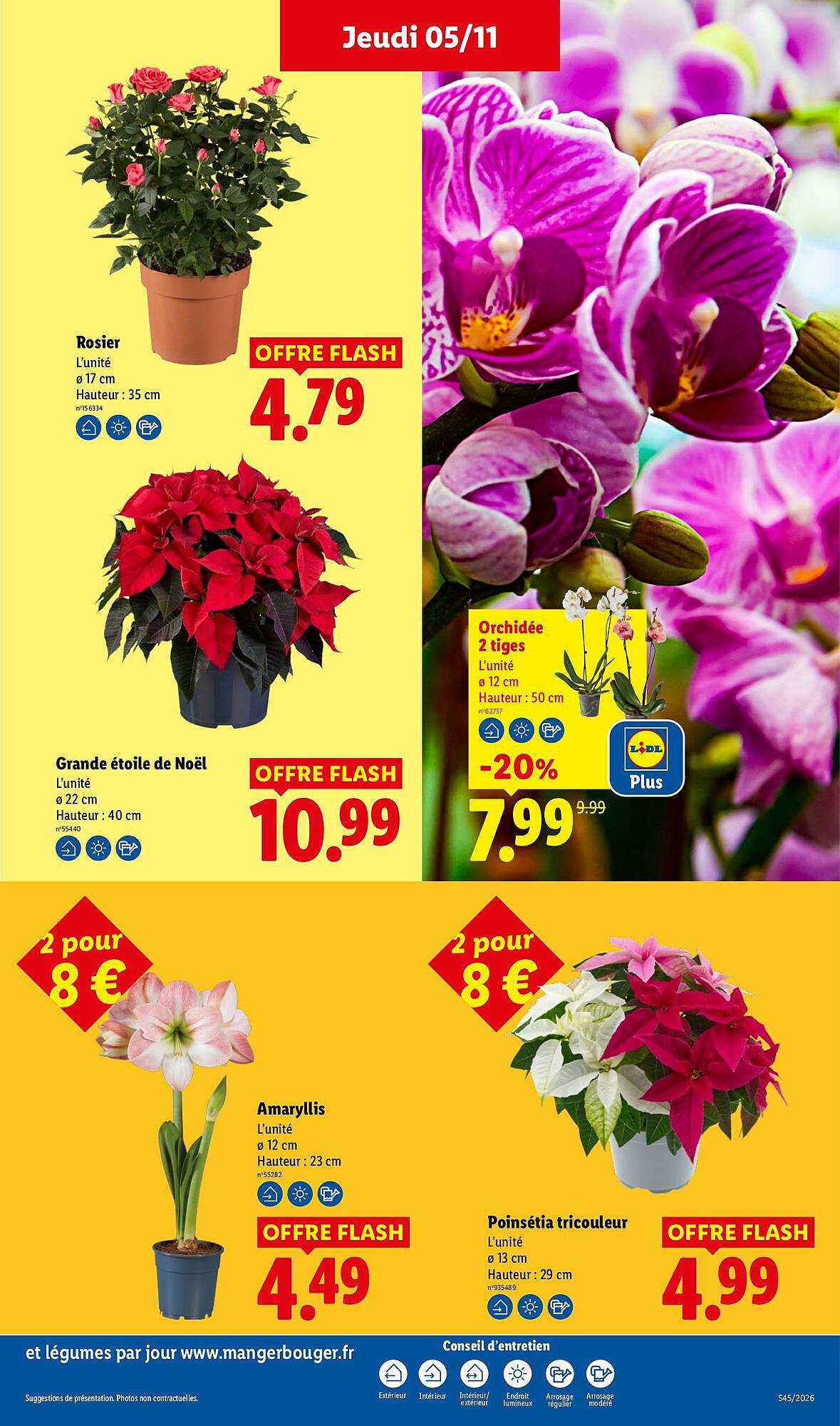 Lidl Catalogue - Pagina 31