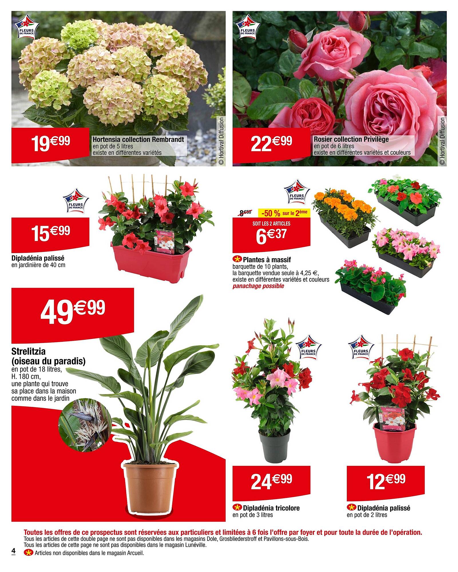 Carrefour Catalogue