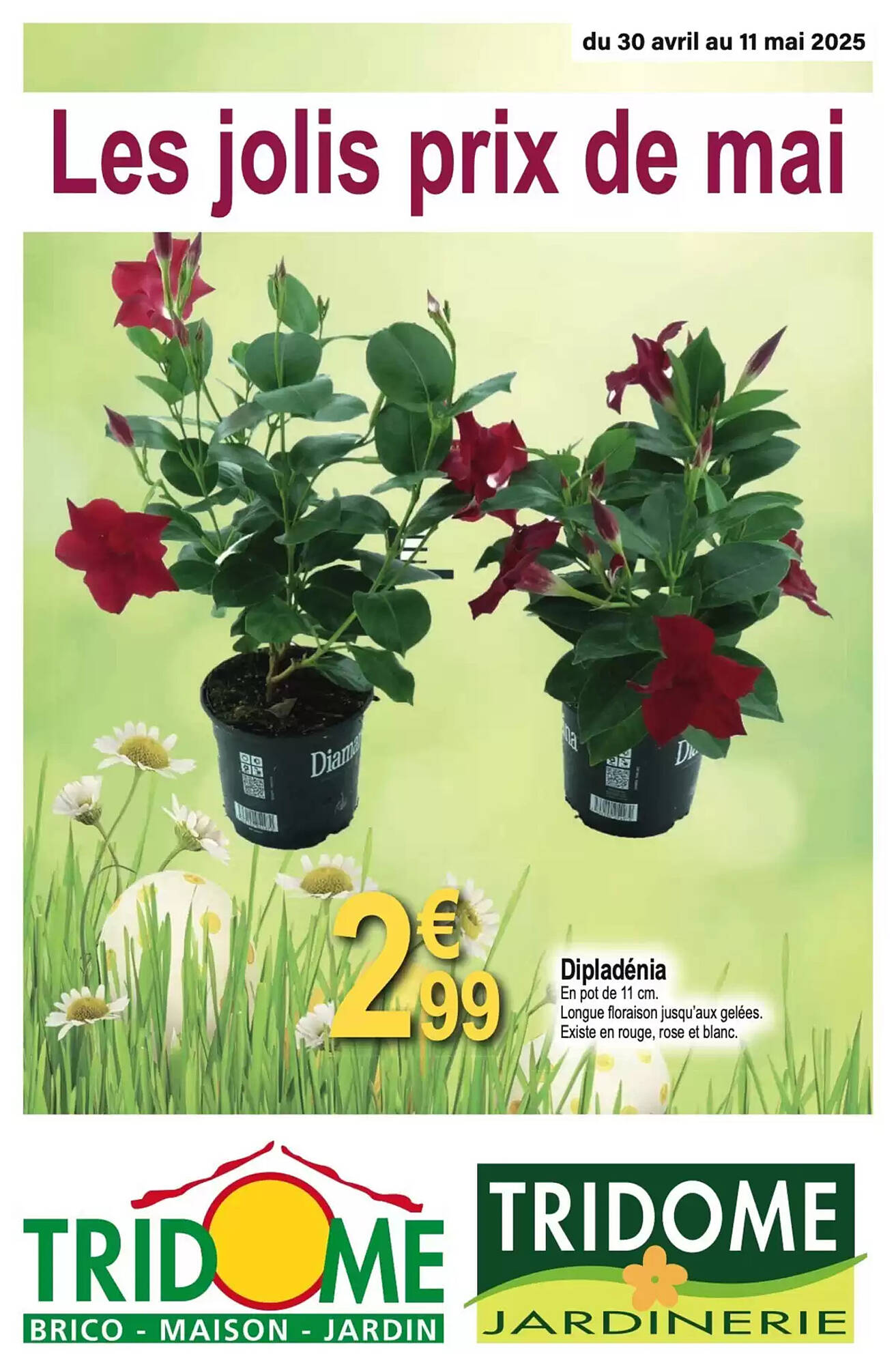 Tridôme Catalogue