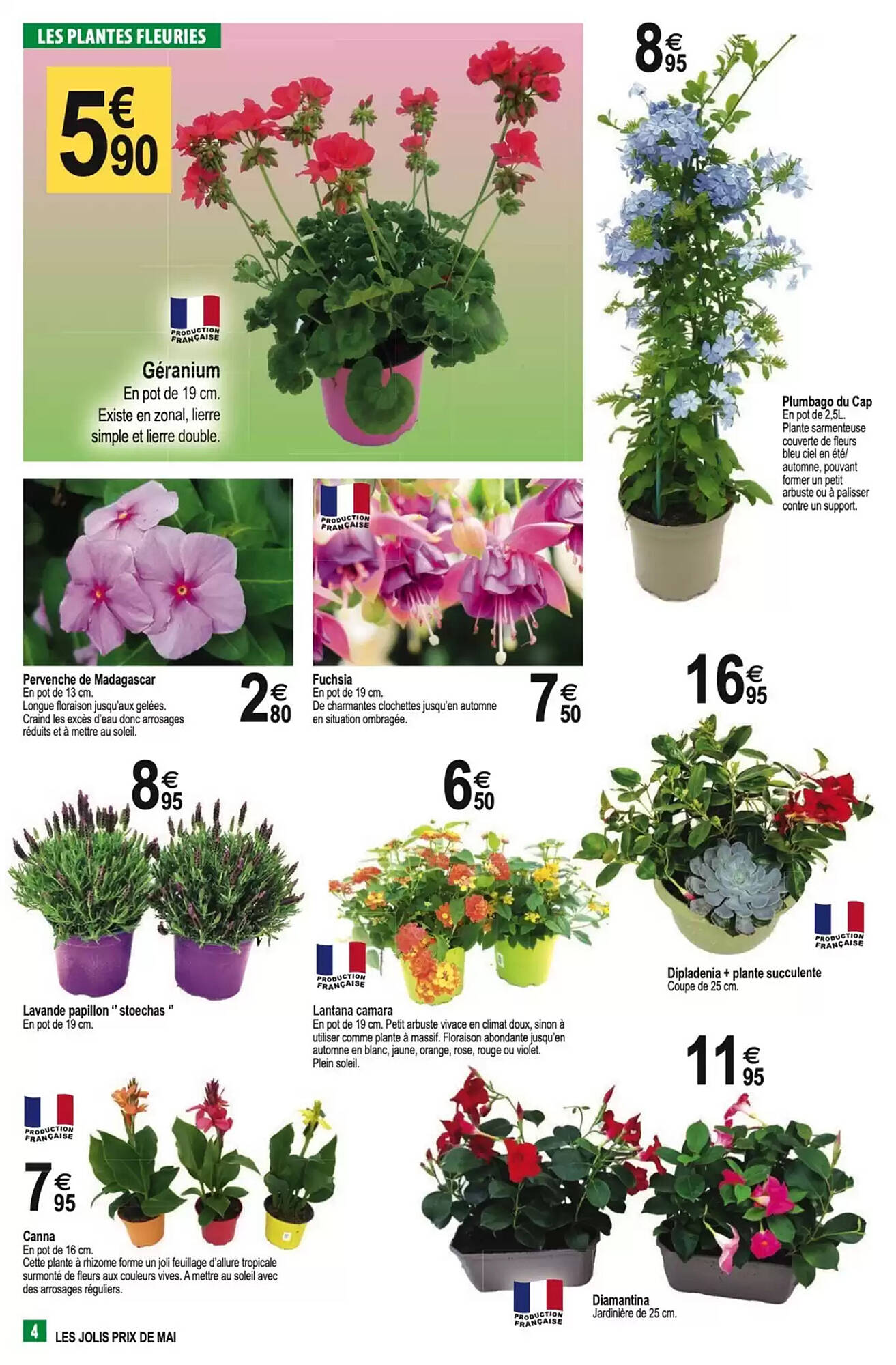Tridôme Catalogue
