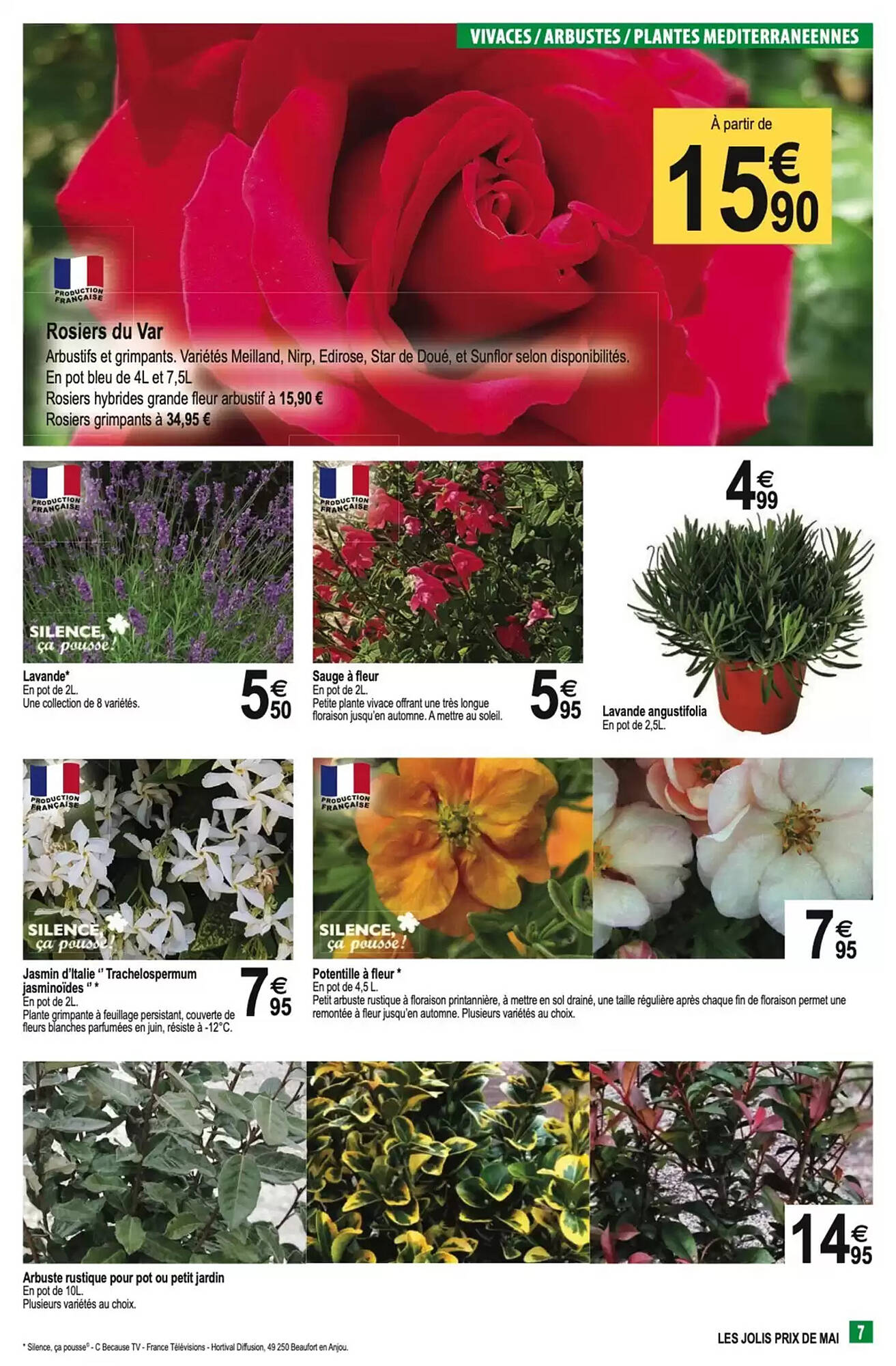 Tridôme Catalogue